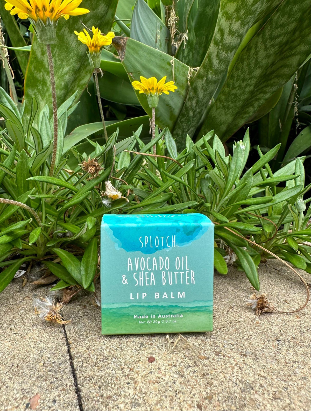 Avacado Oil & Shea Butter Lip Balm - Coastalfunk