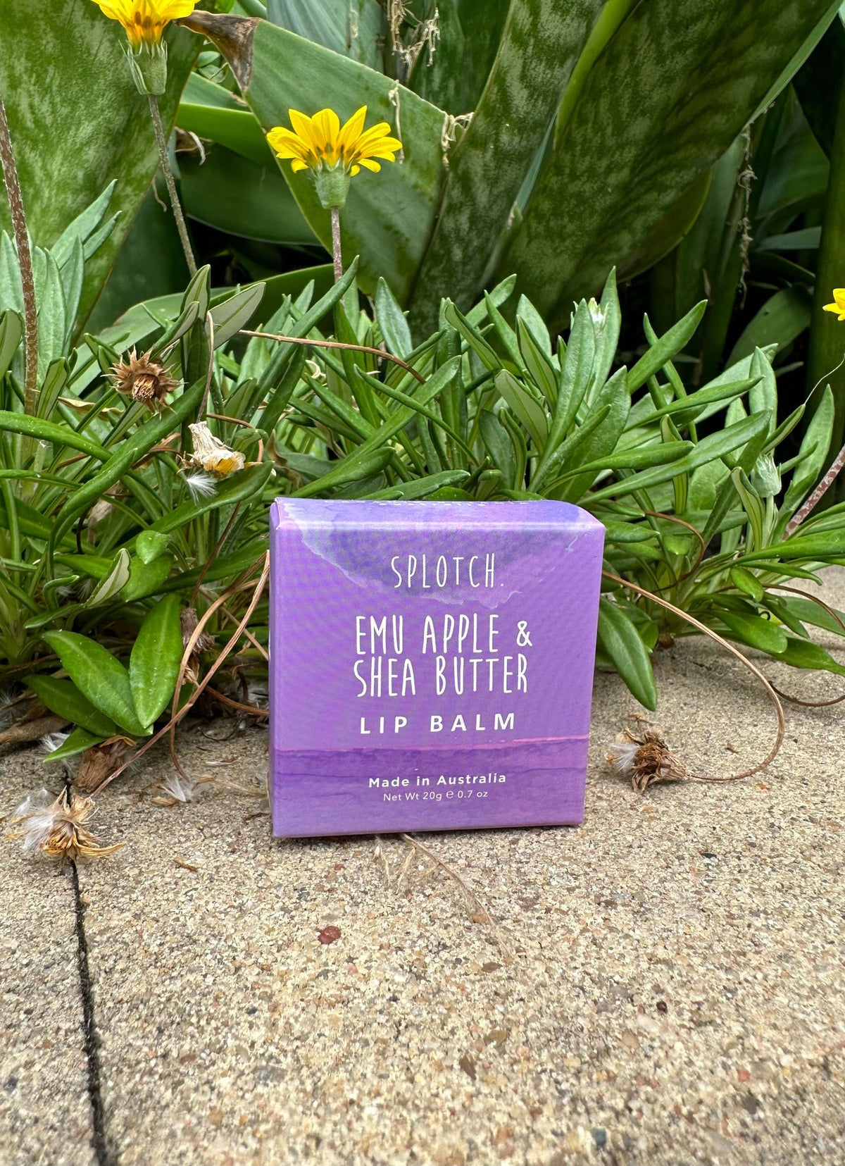 Emu Apple & Shea Butter - Coastalfunk